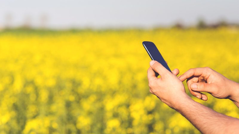 kaboompics.com_Smartphone_Acer_Jade_S_in_the_hands_of_a_man_on_a_background_of_yellow_flowers